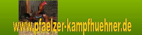 Dies ist das Pf�lzer-Kampfhuhnbanner!