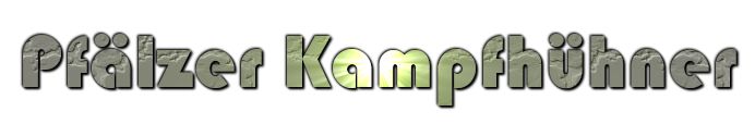  Pfälzer Kampfhühner 